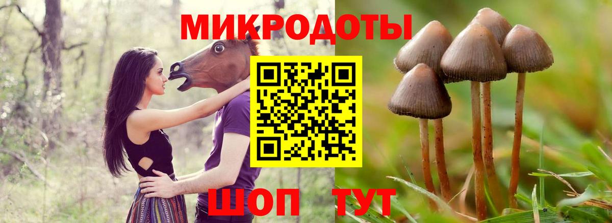 Псилоцибиновые грибы Psilocybine cubensis  Псилоцибиновые грибы Cubensis  как найти закладки  Дмитров  Вход с VPN 